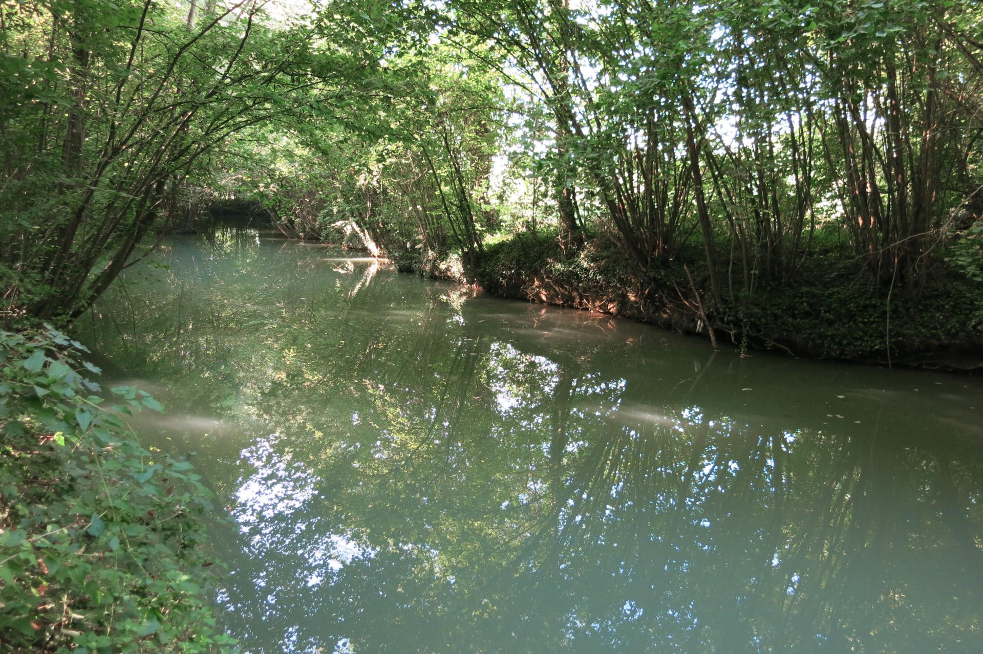Ile De France Seine Et Marne Autour De La Ferte Gaucher