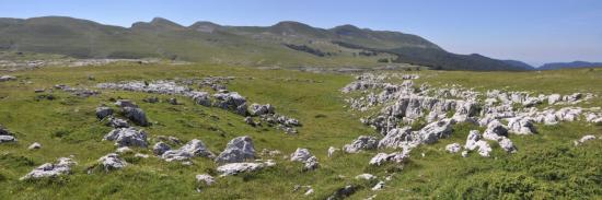 Le p&acirc;turage de Font d&rsquo;Urle