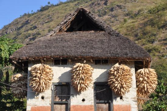 Séchage du maïs sur une maison dans la vallée de la Sun kosi