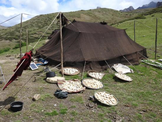 Séchage du fromage devant une tente nomade à Lajar Sumna