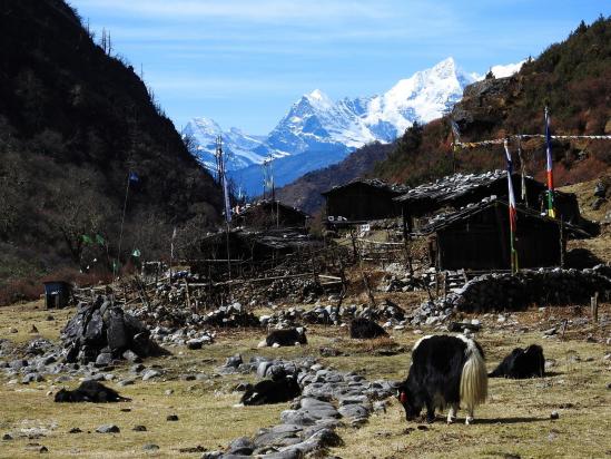 Thudam, un village népalais tourné vers la Chine pour sa subsistance...