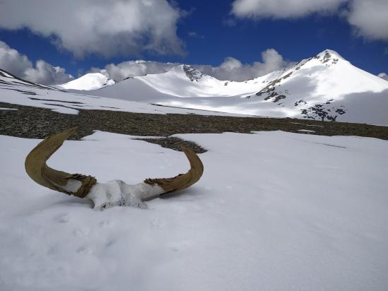 Au niveau du col N du Tsomo Riri view peak (photo Rinchen Norbu)