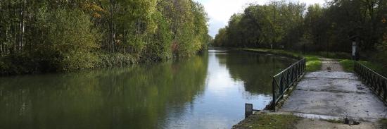 Le canal du Loing entre Néronville et Toury
