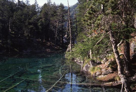 Vallée Etroite : le lac Vert (fluo...)