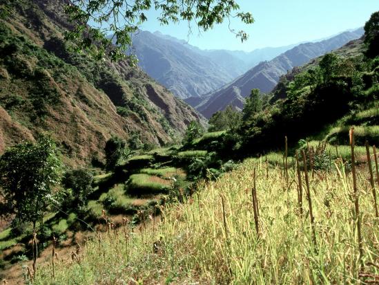 La vallée de la Monjor khola du côté de Chalise