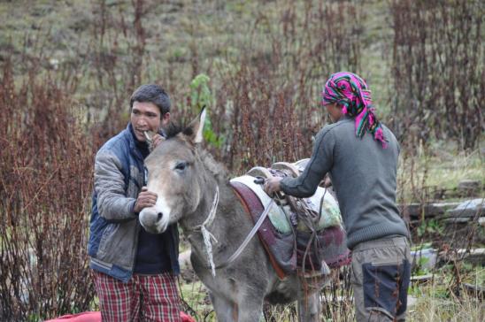 La mule est rebelle, visez un peu la méthode !