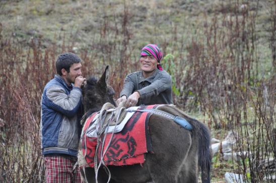 La mule est rebelle, visez un peu la méthode !