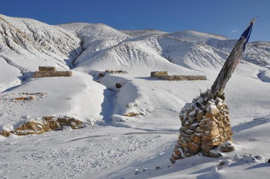 Kepucchimi après la première neige d'automne