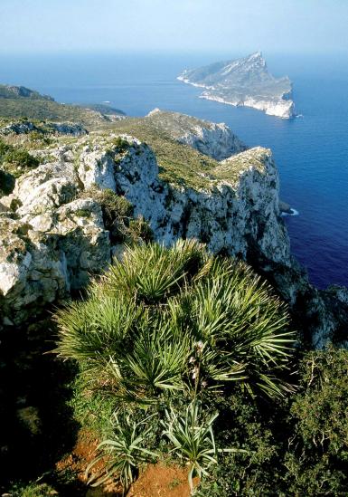 En suivant les falaises de Ses Serres