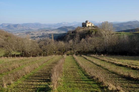 Le château de Piégros vue de la montée à Faucon