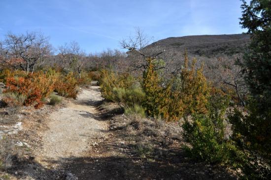 Dans la lande entre Beaufort et Eygluy