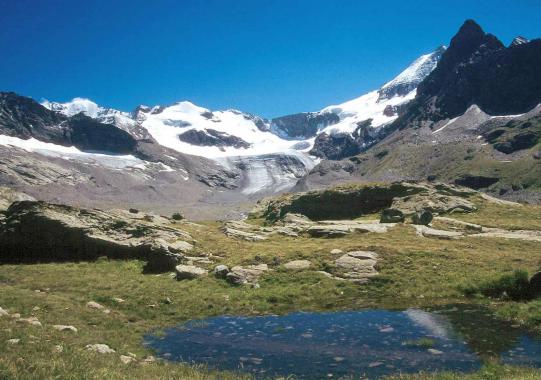 Un laquet sur la moraine N du cirque des Evettes