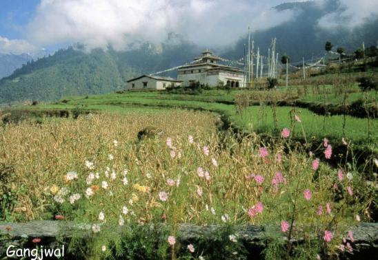 La gompa de Gangjwal