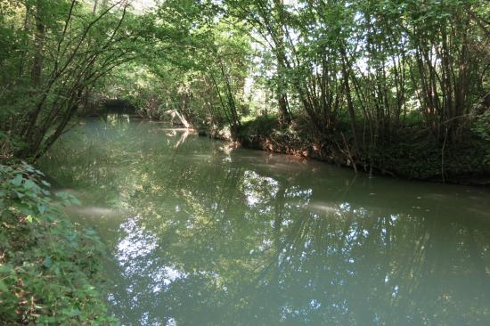 Le Grand Morin à Jouy