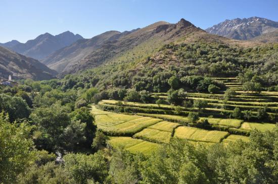 Remontée de la vallée de l'assif Dris