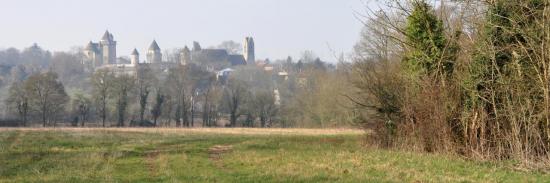 Les tours du château de Blandy