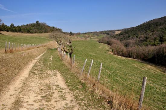 Remontée du vallon de la Lozière