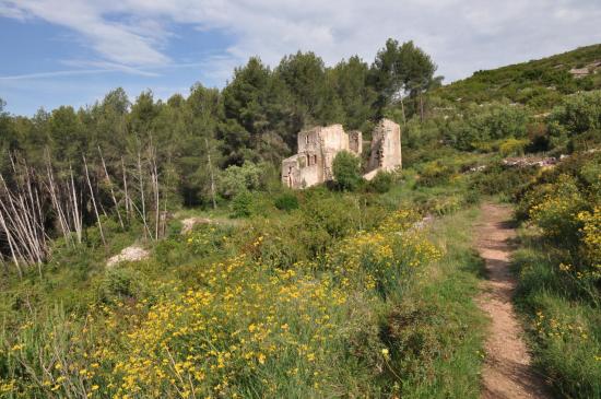 La ferme des Tassys immergée dans le maquis au départ de la randonnée