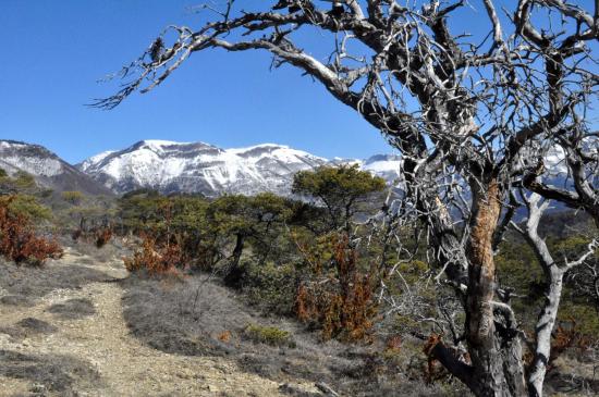 Sur le fil de la crête entre les cols de Vachères n°1 et de St Andéol