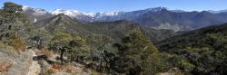 Sur la crête entre les cols de Vachères et St Andéol