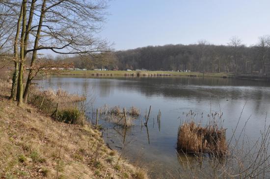 Les étangs de la forêt de Meudon