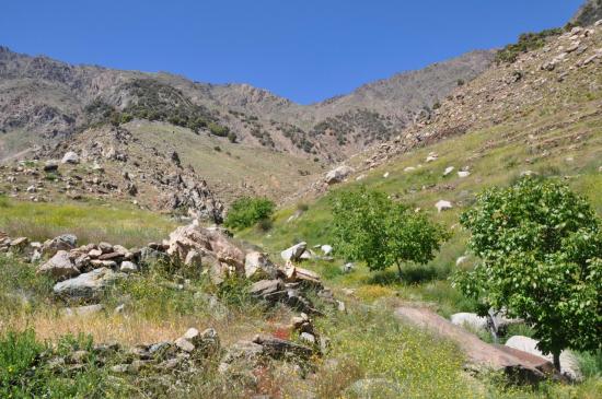 L'emplacement de bivouac sous le tizi n'Targa