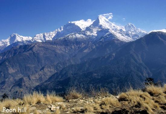 L'Annapurna S depuis Poon hill