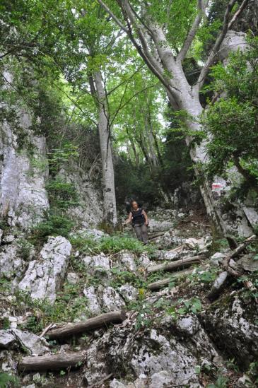 Descente du Pas du Ranc