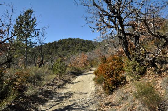 Sur le sentier balcon entre les cols de Vachères n°2 et de Fonteuse