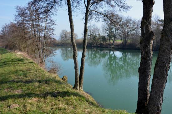 La Marne à Gland