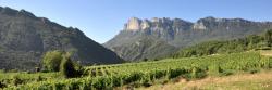 Sur le GR9 entre Saillans et les Auberts (le massif des Trois Becs)