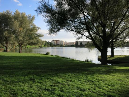 Etang de la Mallière (Lognes)