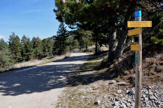 Au col du Royet