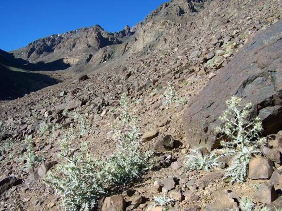 Sur le sentier muletier de l’Aguelzim