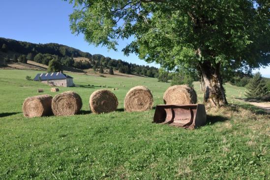 La ferme de Gontier