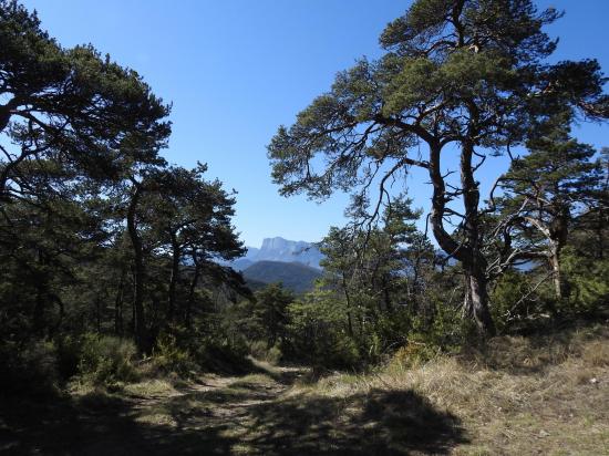 Passage au col des Etourneaux (au fond, les Trois-Becs)