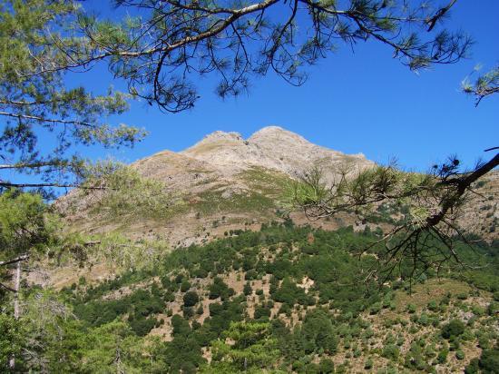 Le San Parteo depuis la forêt de Tartagine-Mélaja