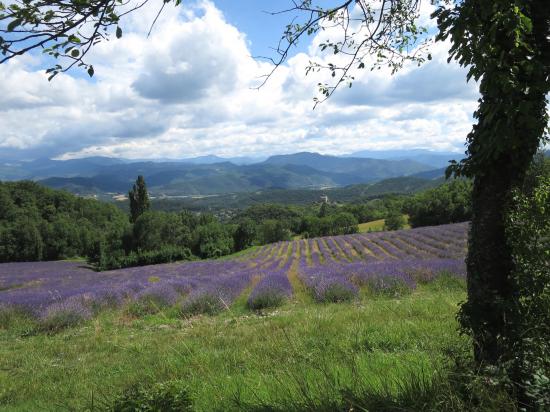 Depuis les hauts de Piégros, large vue sur le sud du Vercors