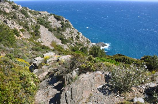 Sur le sentier littoral à l'approche de ND du Mai