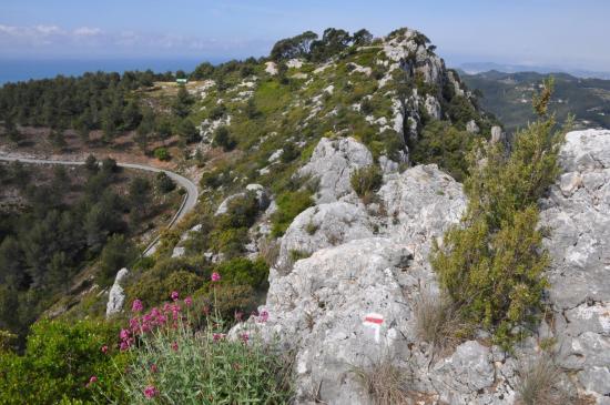 Sur les crêtes de la Pointe du Gros Cerveau