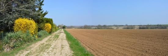 Les champs autour de Claye-Souilly