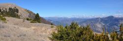 Serre Délègue (montagne de Couspeau)