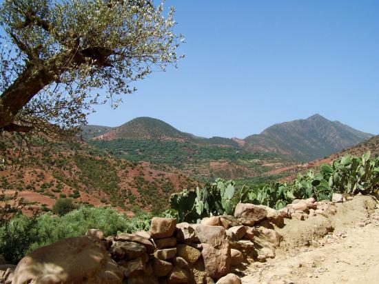 La montée depuis Arba Tighedouine