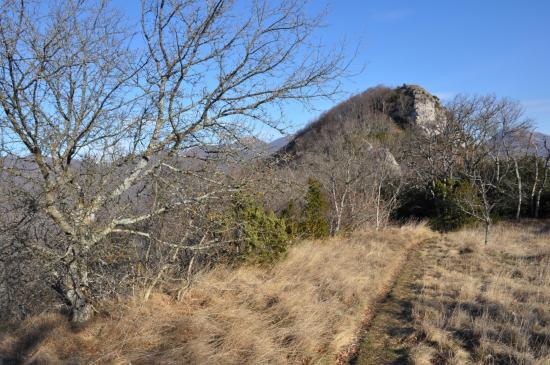 Le dernière clairière sur les crêtes du Grand Pomerolle