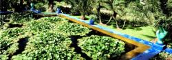 Le jardin Majorelle