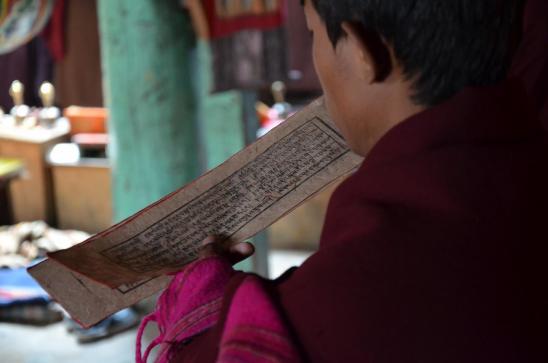 Lecture studieuse à l'intérieur de Butshok gompa