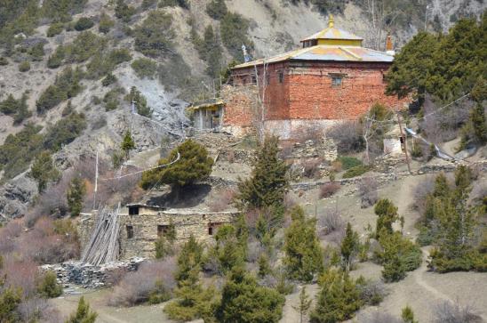 Tare gonpa