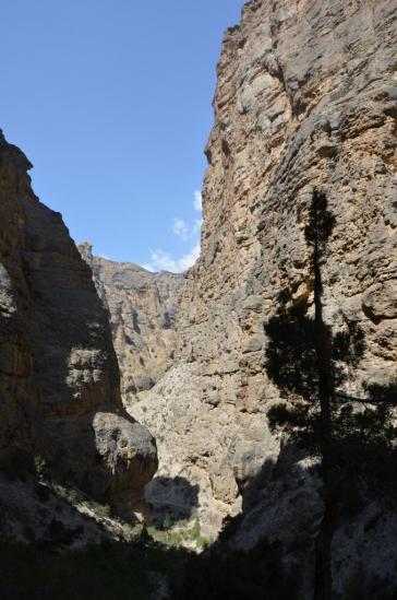 Dans les gorges de la Syangmoche khola