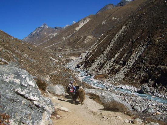 Descente de la vallée de la Bhote kosi