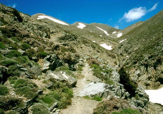 Remontée du vallon d’Achlada